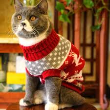 Cute Pet Sweaters For Cats Multiple Adorable Designs Pet Sweaters Cat Christmas Sweater Cat Sweaters