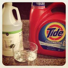 Searchub Carpet Cleaning Solution How To Clean Carpet Cleaning Hacks