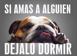 Ver más ideas sobre buenas noches bendiciones, buenas noches, saludos de buenas noches. Imagenes De Buenas Noches Chistosas Para Whatsapp