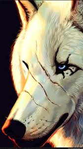 If you want to download wolf high quality wallpapers for your desktop, please download this wallpapers above and click «set as desktop background». 4k Ultra Hd Wolf Wallpaper 4k 720x1280 Wallpaper Teahub Io