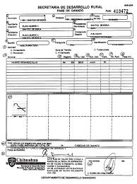 Nmsu Procedures For Exporting Cattle From Chihuahua Mexico