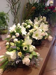 See more of buon compleanno on facebook. Fiori Invernali Bianchi