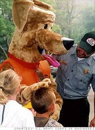 Bobber The Water Safety Dog And Friends Water Safety Weird World Bobber