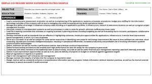 cio cv resume sample