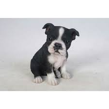 Find the perfect boston terrier puppies stock photos and editorial news pictures from getty images. Sitting Boston Terrier Puppy Dog Life Like Figurine Statue Home Garden New Animals Dogs