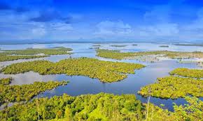 Pontianak (pôntēä´näk), city (1990 pop. Pontianak 2021 Best Of Pontianak Indonesia Tourism Tripadvisor