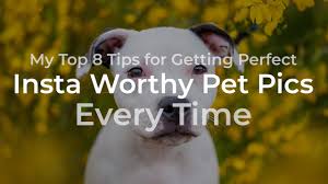 Experienced photographers know how to satisfy customers' expectations. Unleashed Education Blog