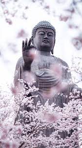 Here at wallpaper21.com, there are more than ten lakhs of wallpapers are available to download. Cherry Blossoms Buddha Statue 1125x2436 Iphone 11 Pro Xs X Wallpaper Background Picture Image