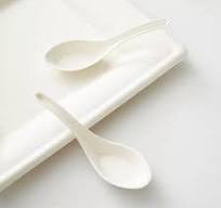 White Compostable Sugarcane Bagasse Spoon | Packaging