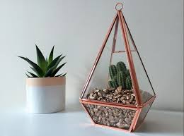 Merawat terarium berperan penting dalam menjaga kelangsungan terarium. Wujudkan Suasana Indah Dan Alami Dengan Dekorasi Terarium Kaktus