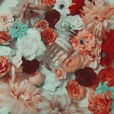 تـنـسـيـق حسابات مكتمل Fotos Tumblr Com Flores Fotografia Artistica Paisagens Bonitas