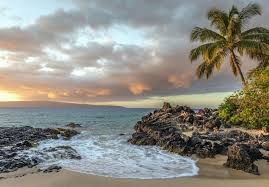 Image libre: Palmier, côte, mer, ciel, coucher de soleil, île