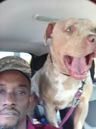 My Prince is ready to go! Say hi to Prince y'all! 👋