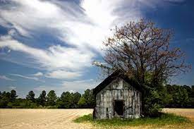 Creative Composition Composition Photography Digital Photography Photography Help