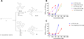 A Novel Triphenylphosphonium Carrier to Target Mitochondria without  Uncoupling Oxidative Phosphorylation | Journal of Medicinal Chemistry