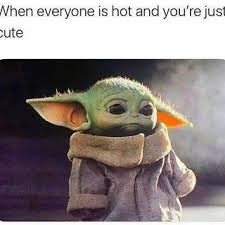 Are You In Relationship Check Out This Memes Best Couple Memes Yoda Funny Yoda Meme Yoda Wallpaper