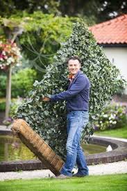 Die Immergrune Fertighecke Von Mobilane Sichtschutz Garten Sichtschutzzaun Garten Efeuhecke