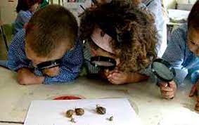 Juegos de experimentación en el nivel inicial / el jardín de alegría : Experimentacion Archives Actividades Infantil