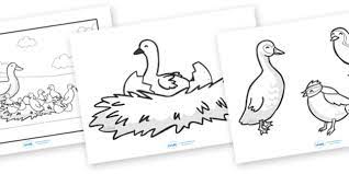The ugly duckling is a story written by danish author hans christian andersen, first published on november 11, 1843. The Ugly Duckling Story Colouring Sheets Teacher Made