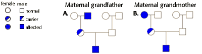 human genetics problem set