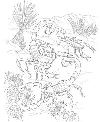 Cute bumble bee coloring pages. Free Wallpaper Nature