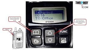 Image result for ICOM IP100H