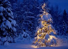 Pagan Origins Of Christmas A Year And A Day