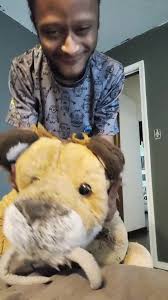 Funny Stuffed Animals Playtime with Jacob and Tiger