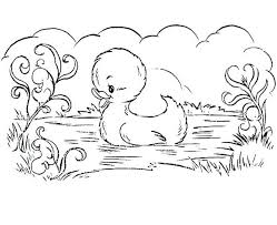 When autocomplete results are available use up and down arrows to review and enter to select. Cute Collection Of Duck Coloring Pages Free Coloring Sheets Easter Coloring Pages Animal Coloring Pages Cute Coloring Pages