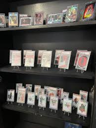 Image result for Gray 1995 Fleet