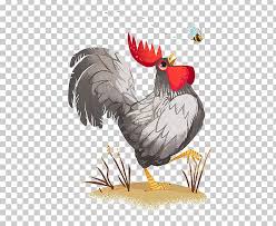 The standard weight for a rock hen is 4.5 lbs. Plymouth Rock Chicken Rooster Chicken Coop Illustration Png Clipart Animals Art Beak Bird Chicken Free Png