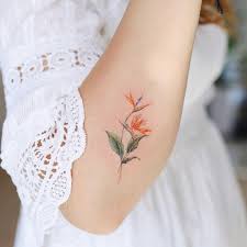 Baneasa Aurel Vanessa Sur Instagram Strelitzia Reginae Oiseau De Fleur De Paradis In 2020 Paradise Tattoo Bird Of Paradise Tattoo Tattoos