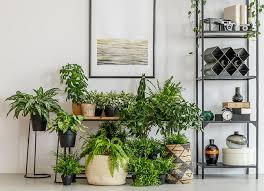 Check spelling or type a new query. Apartment Gardening At Menards