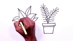 Plant Drawing How To Draw Plants Step By Step Part 4 Youtube Plant illustration plant sketches sketches couple sketch illustration drawings art plant cartoon humanoid sketch. plant drawing how to draw plants step by step part 4