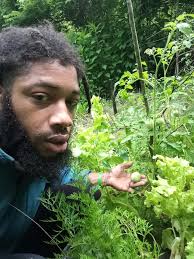 My first fruit I've grown so far or is it a vegetable?