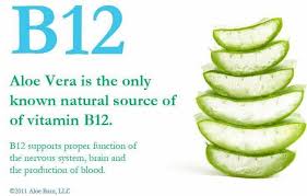 Aloe Vera Is A Source Of B12 So Are Shiitake Mushrooms And Spirulina Aloe Vera Benefits Sources Of Vitamin B Vitamins