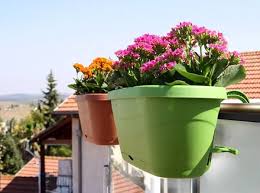 Upp Blumenkasten Blumentopf Hangend Fur Gelander 50 Cm Universal Blumenkasten Blumentopf Blumen
