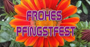 Der ostersonntag liegt am 04. Whatsapp Pfingstgrusse Lustige Spruche Videos Freeware De