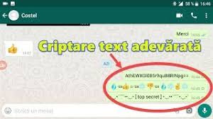 Ascultați mesaje vocale fără bifă albastră! Criptare ConversaÈii Whatsapp Èi Messenger