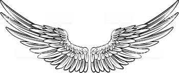 Bird With Wings Spread Out Pin On Tatuaz