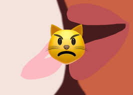 Too bad Twitter turned the New Yorkers Cat Person story into a  piping-hot thinkpiece.