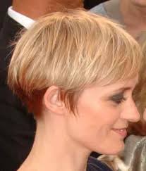 However, short doesn't mean bald, so think twice before grabbing clippers or, what's. 14 Wedge Haircut Pictures Learn Haircuts Wedge Haircut Short Wedge Haircut Short Wedge Hairstyles
