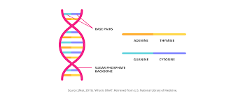 Methods And Mechanisms For Genetic Manipulation Of Plants Animals And Microorganisms Getsmarter Blog