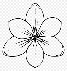 Free flower coloring pages flowers to colour top 35 free printable spring coloring pages online amazing ideas free printable flower coloring pages colouring bouquet flowers for kids girls flower coloring pages Free Printable Flower Stencil Templates Coloring Pages Of Flowers Free Transparent Png Clipart Images Download