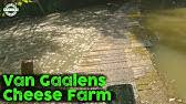 May 22, 2021 · true mountain bikers know van gaalen cheese farm and need no introduction. Exploring The Van Gaalen Kaasmakerij Cheese Farm Youtube