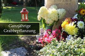 Maybe you would like to learn more about one of these? Ganzjahrige Grabbepflanzung 23 Pflegeleichte Pflanzen