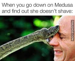 When You Go Down On Medusa And Find Out She Doesn T Shave Funny Memes Failgags