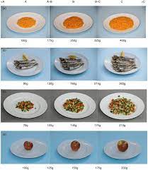 We did not find results for: Example Of Photographs From The Photos Manual Shows Portion Sizes Of Download Scientific Diagram