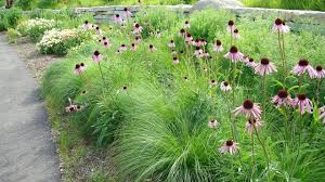 What Does Our Ecosystem Provide For Us Natural Midwest Garden Grasses Landscaping Prairie Garden Native Garden