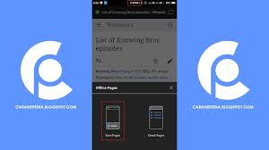 Penulis akan memberikan tutorial cara menyimpan halaman web ke pdf dengan mozilla firefox di android. Cara Menyimpan Halaman Web Di Android Bisa Hemat Kuota Loh Caranepedia